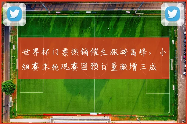 世界杯门票热销催生旅游高峰，小组赛末轮观赛团预订量激增三成