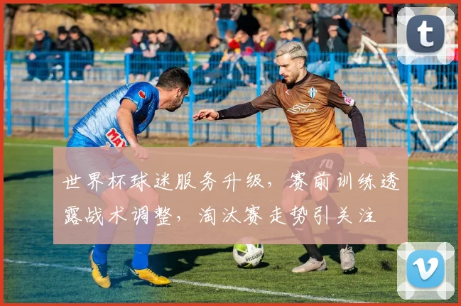 世界杯球迷服务升级，赛前训练透露战术调整，淘汰赛走势引关注