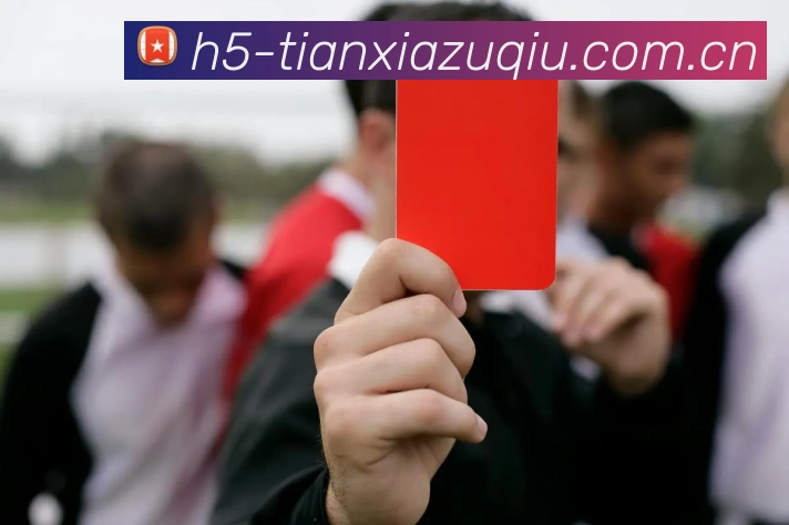 全站App